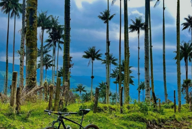 Travesía MTB Páramo de Chilí.
