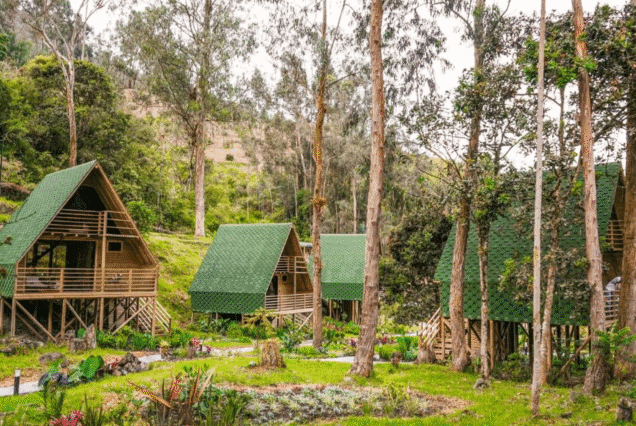 Eco hotel Cantos del Río