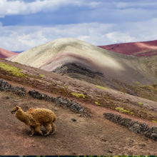 peru